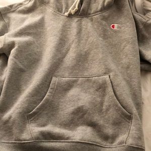 double hooded champion hoodie